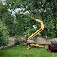 Best Lawn Irrigation Installation and Maintenance  in Snohomish, WA