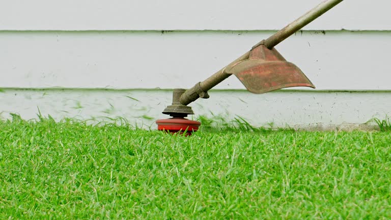 Best Lawn Grading and Leveling  in Snohomish, WA