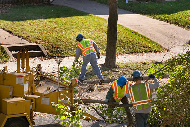 Best Lawn Drainage Solutions  in Snohomish, WA