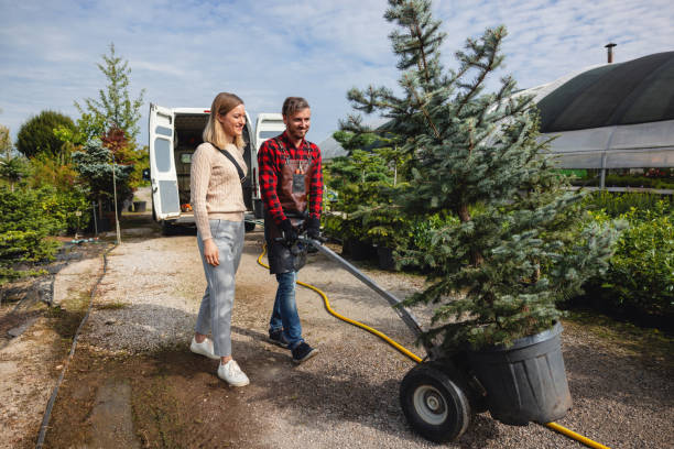Best Tree Mulching  in Snohomish, WA